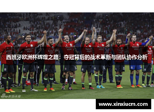 西班牙欧洲杯辉煌之路：夺冠背后的战术革新与团队协作分析